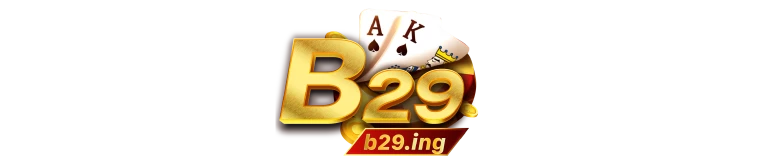 B29.ing