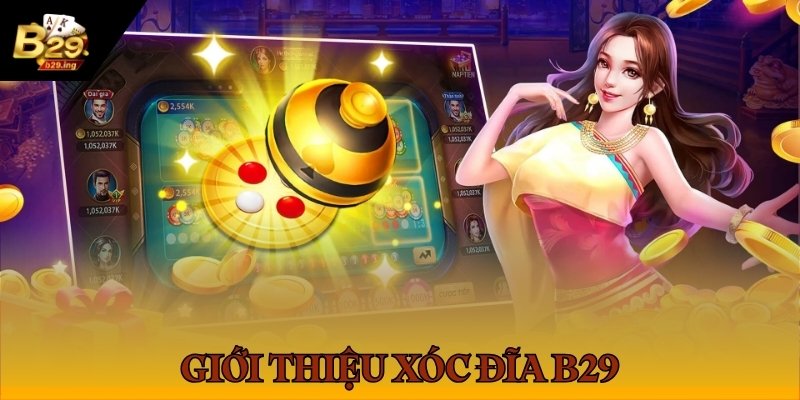 Giới thiệu xóc đĩa B29